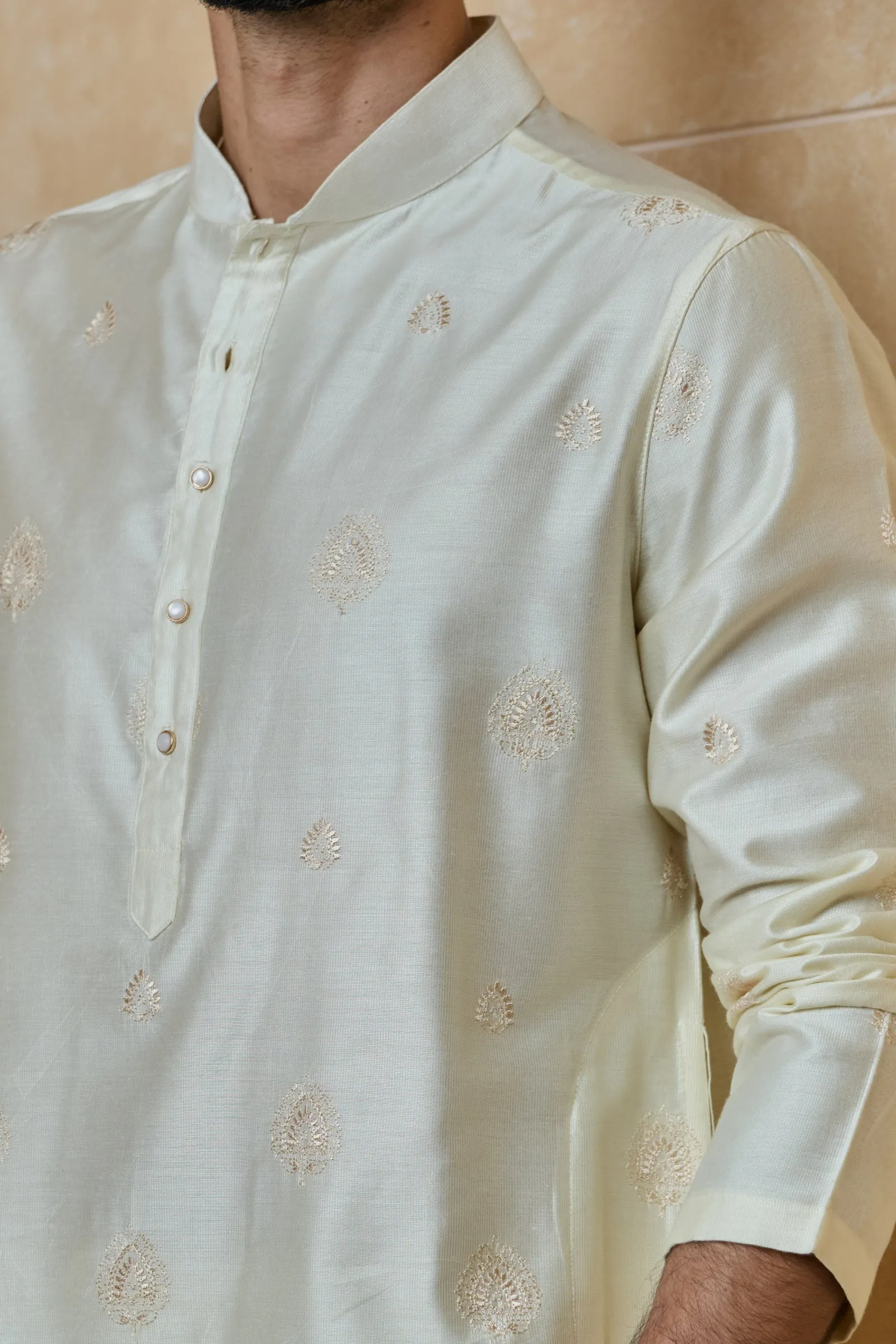 Butti Embroidered Kurta Set