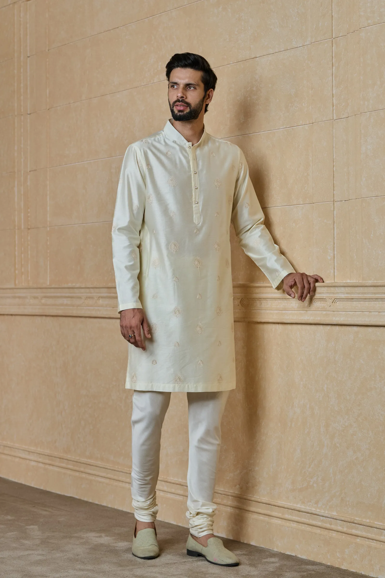 Butti Embroidered Kurta Set