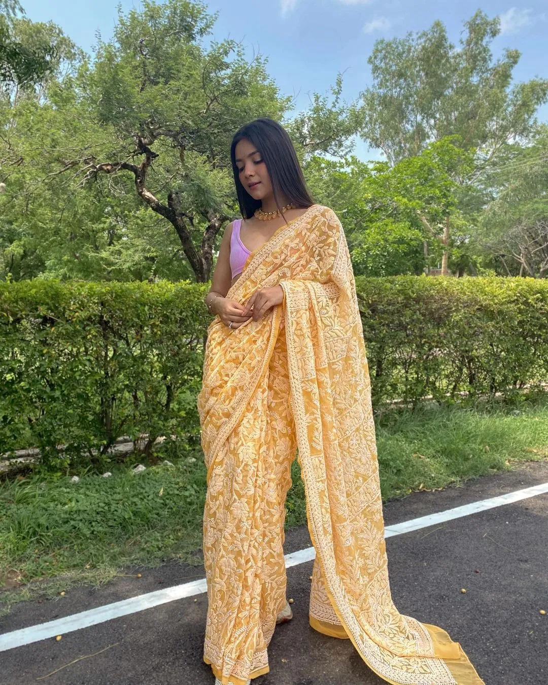 Gulzar Full Jaal Chikankari Saree