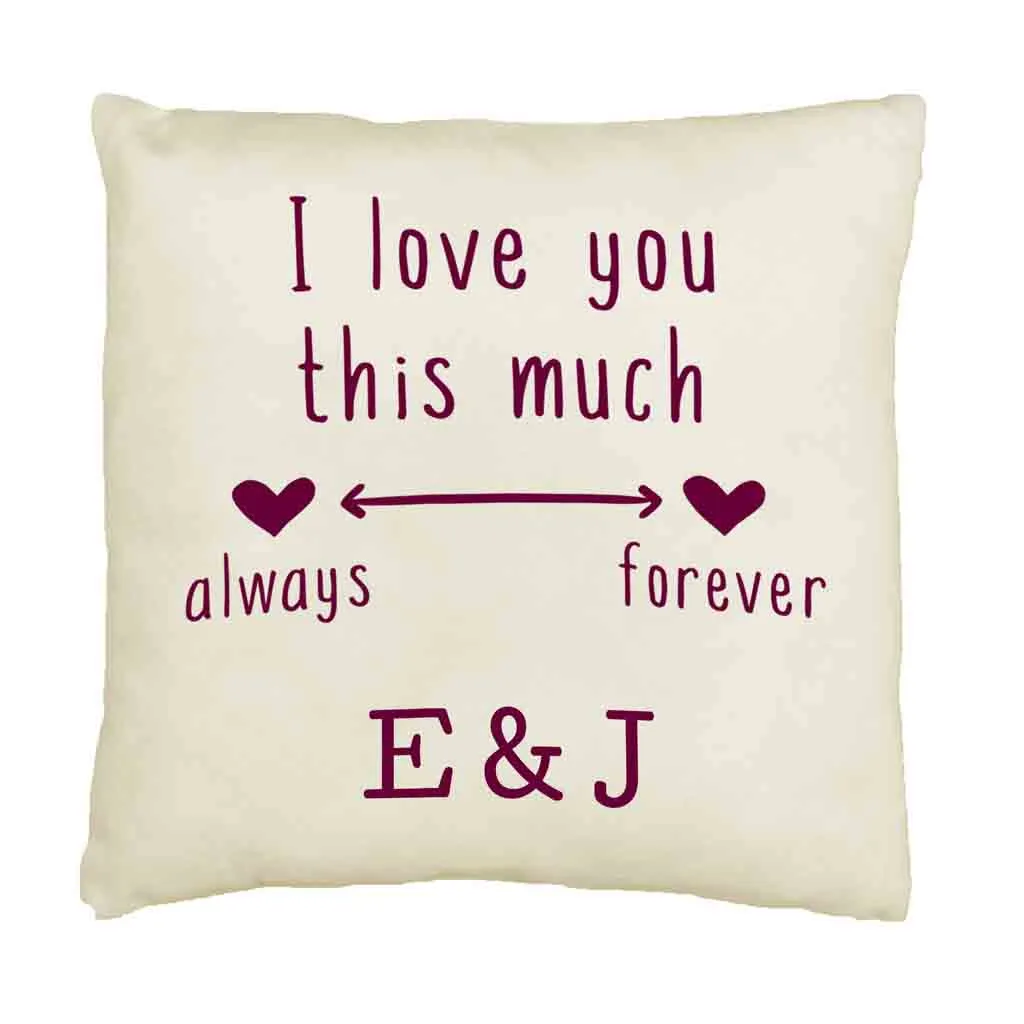 Love You Always and Forever 2 Year Anniversary Pillow Cover