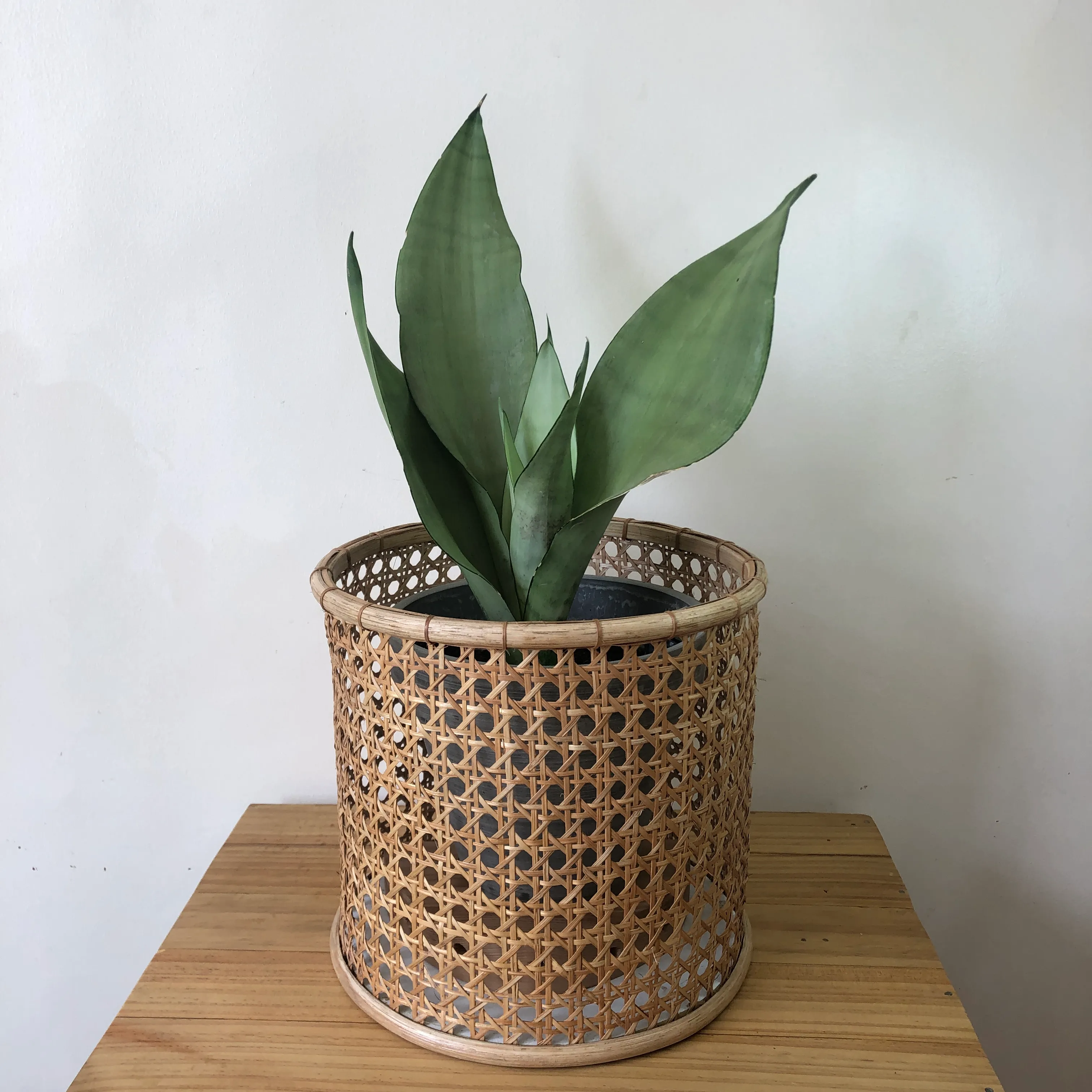 Solihiya Planter Sleeve in Large